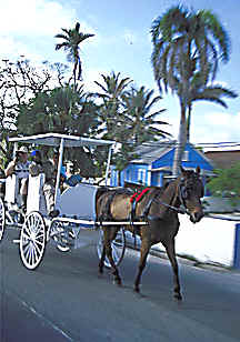 Carriage ride in Nassau
