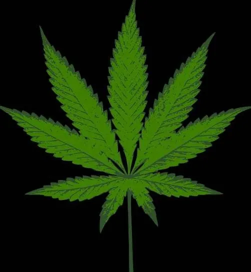 Bahamas Legalizing Medical & Religious Cannabis And Farming, But Recreational Use By Tourists Still Banned.